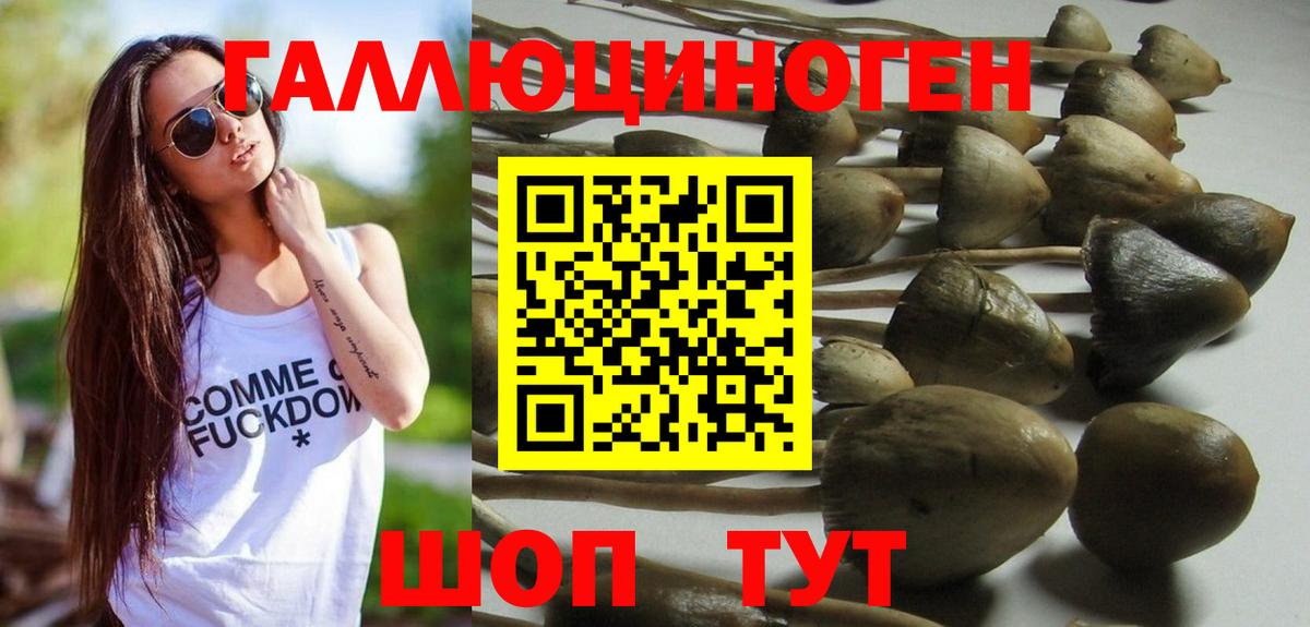 Галлюциногенные грибы прущие грибы  Вход с VPN  Ростов Великий 